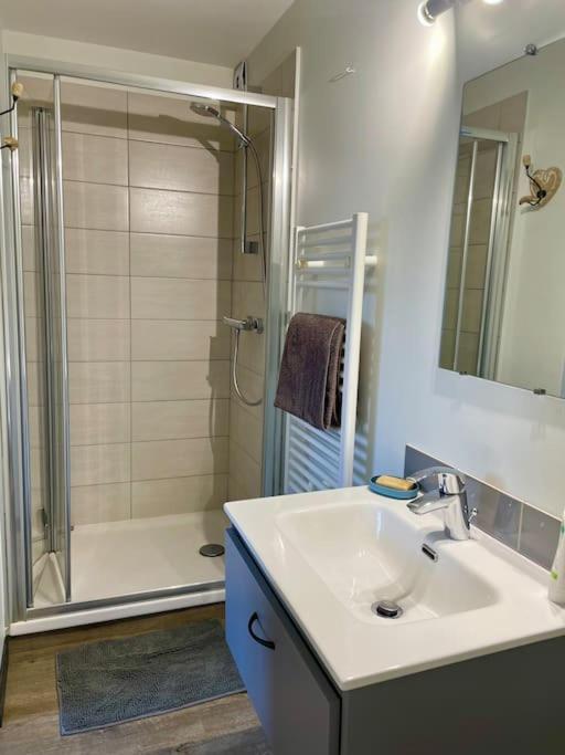 Appartement Independant 30 M² A 500M Du Lac, 2 Velos Et Parking Fournis Севрие Экстерьер фото